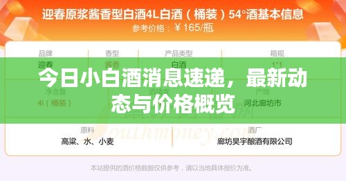 今日小白酒消息速遞，最新動態(tài)與價格概覽