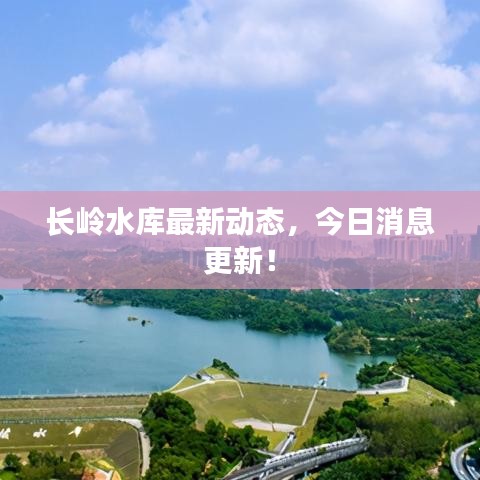 長嶺水庫最新動態(tài)，今日消息更新！