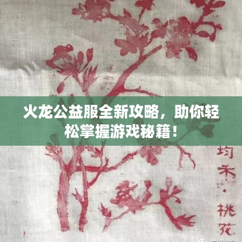 火龍公益服全新攻略，助你輕松掌握游戲秘籍！