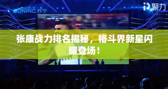 張康戰(zhàn)力排名揭秘，格斗界新星閃耀登場(chǎng)！