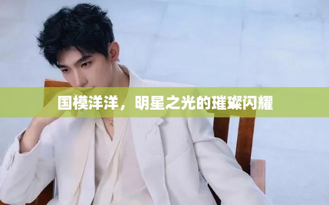 國模洋洋，明星之光的璀璨閃耀