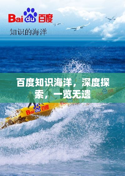百度知識(shí)海洋，深度探索，一覽無(wú)遺