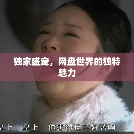 獨(dú)家盛寵，網(wǎng)盤(pán)世界的獨(dú)特魅力