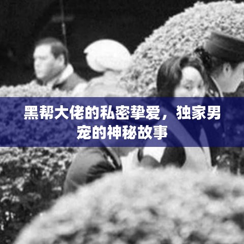 黑幫大佬的私密摯愛，獨家男寵的神秘故事