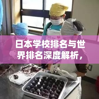 日本學(xué)校排名與世界排名深度解析，全方位對比，洞悉教育實(shí)力！