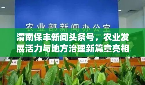 渭南保豐新聞?lì)^條號(hào)，農(nóng)業(yè)發(fā)展活力與地方治理新篇章亮相
