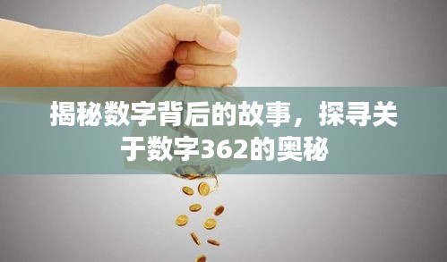 揭秘數(shù)字背后的故事，探尋關(guān)于數(shù)字362的奧秘