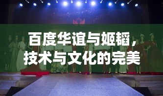 百度華誼與姬韜，技術(shù)與文化的完美交融之旅