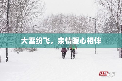 大雪紛飛，親情暖心相伴