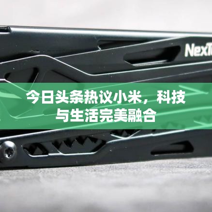 今日頭條熱議小米，科技與生活完美融合