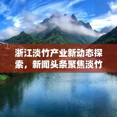 浙江淡竹產(chǎn)業(yè)新動態(tài)探索，新聞頭條聚焦淡竹產(chǎn)業(yè)發(fā)展