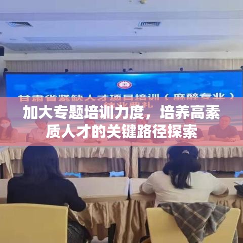 加大專題培訓(xùn)力度，培養(yǎng)高素質(zhì)人才的關(guān)鍵路徑探索