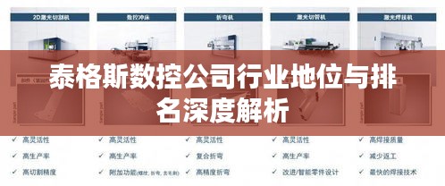 泰格斯數(shù)控公司行業(yè)地位與排名深度解析