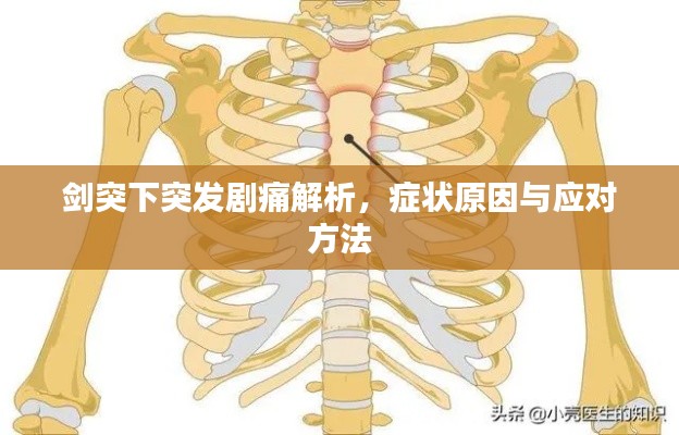 劍突下突發(fā)劇痛解析，癥狀原因與應對方法