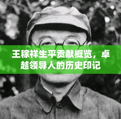 王稼祥生平貢獻(xiàn)概覽，卓越領(lǐng)導(dǎo)人的歷史印記