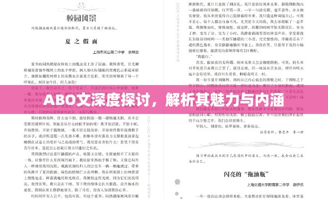 ABO文深度探討，解析其魅力與內(nèi)涵