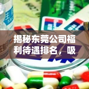 揭秘東莞公司福利待遇排名，吸引你的目光！