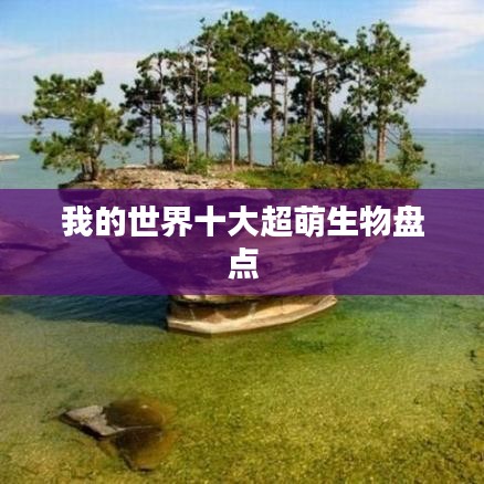 我的世界十大超萌生物盤點(diǎn)