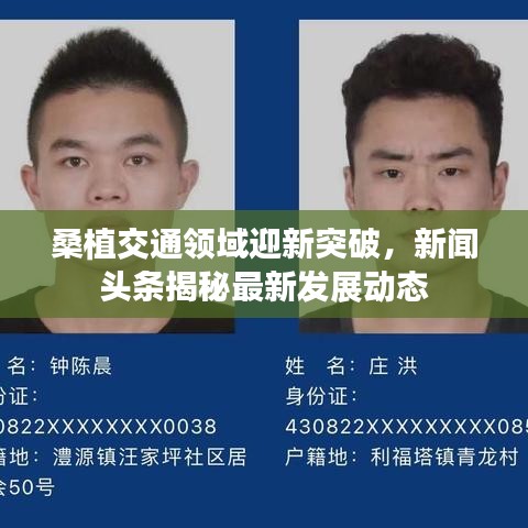 桑植交通領(lǐng)域迎新突破，新聞頭條揭秘最新發(fā)展動態(tài)