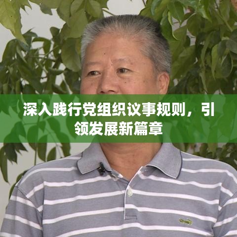 深入踐行黨組織議事規(guī)則，引領(lǐng)發(fā)展新篇章