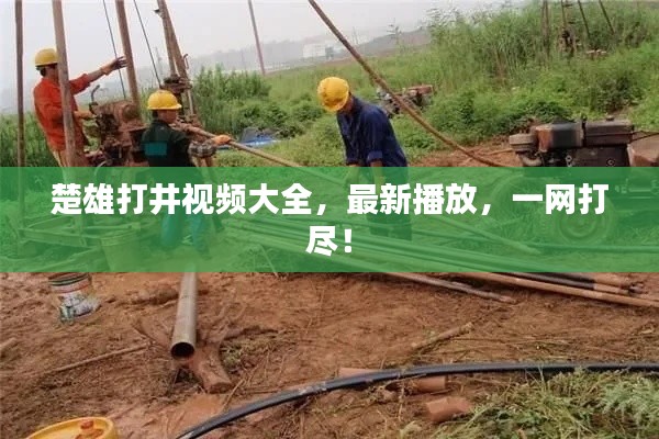 楚雄打井視頻大全，最新播放，一網(wǎng)打盡！