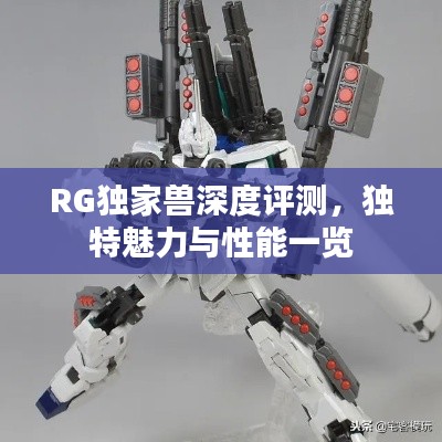 RG獨(dú)家獸深度評測，獨(dú)特魅力與性能一覽
