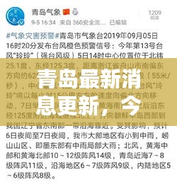 青島最新消息更新，今日新聞一覽
