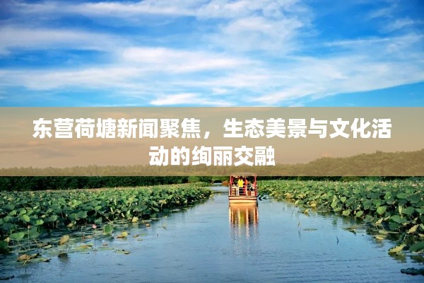 東營荷塘新聞聚焦，生態(tài)美景與文化活動的絢麗交融