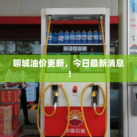 聊城油價(jià)更新，今日最新消息！