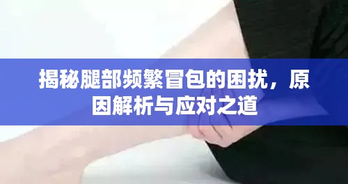 揭秘腿部頻繁冒包的困擾，原因解析與應(yīng)對之道