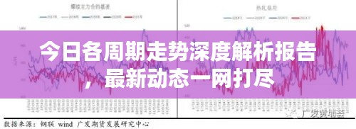 今日各周期走勢深度解析報告，最新動態(tài)一網(wǎng)打盡
