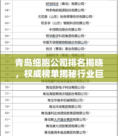 青島細胞公司排名揭曉，權威榜單揭秘行業(yè)巨頭