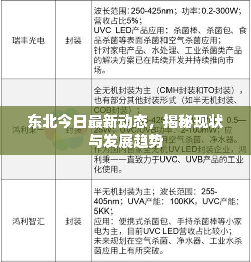 東北今日最新動(dòng)態(tài)，揭秘現(xiàn)狀與發(fā)展趨勢(shì)