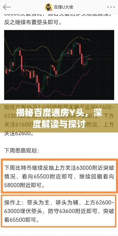 揭秘百度通房Y頭，深度解讀與探討