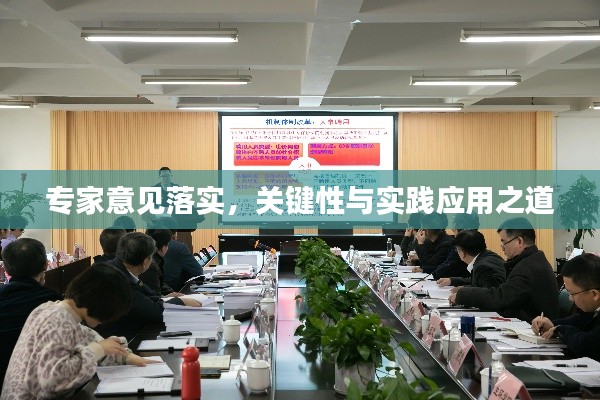 專(zhuān)家意見(jiàn)落實(shí)，關(guān)鍵性與實(shí)踐應(yīng)用之道