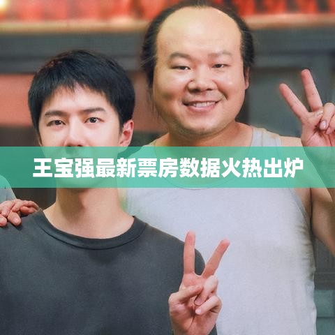 王寶強(qiáng)最新票房數(shù)據(jù)火熱出爐