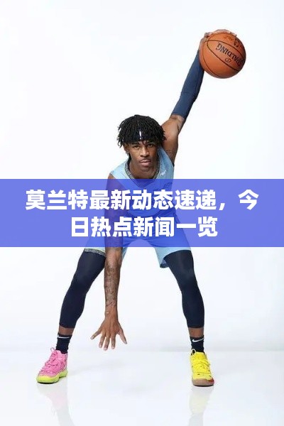 莫蘭特最新動(dòng)態(tài)速遞，今日熱點(diǎn)新聞一覽