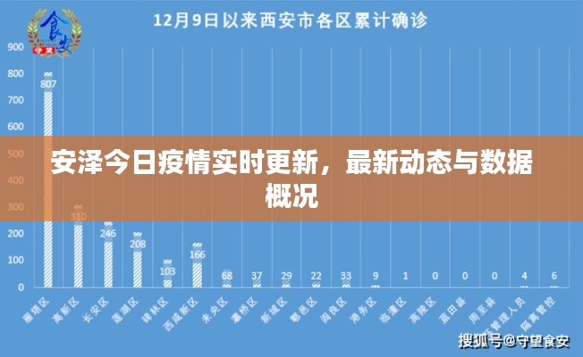 安澤今日疫情實時更新，最新動態(tài)與數(shù)據(jù)概況