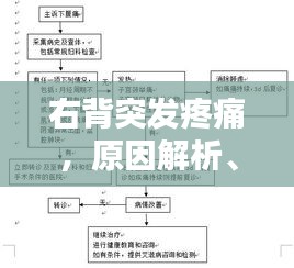 右背突發(fā)疼痛，原因解析、診斷流程與治療方法全攻略