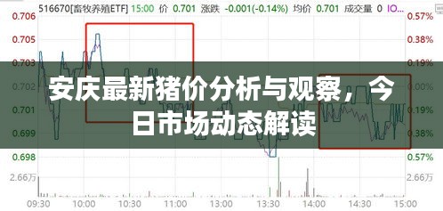 安慶最新豬價(jià)分析與觀察，今日市場(chǎng)動(dòng)態(tài)解讀