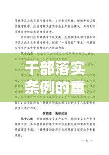 干部落實(shí)條例的重要性與實(shí)踐探索