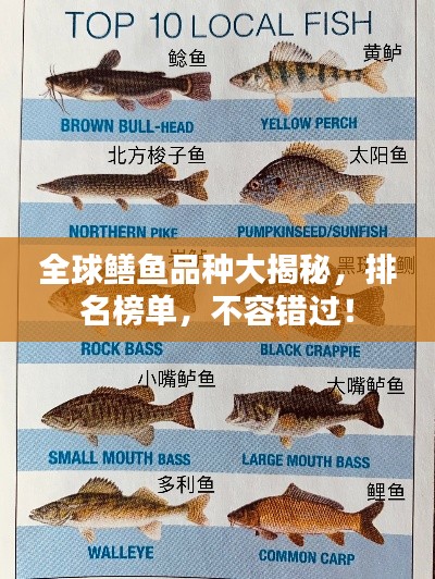 全球鱔魚品種大揭秘，排名榜單，不容錯過！