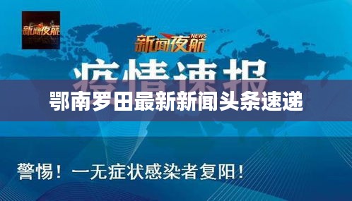 鄂南羅田最新新聞頭條速遞