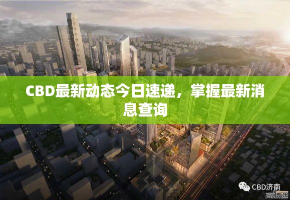 CBD最新動(dòng)態(tài)今日速遞，掌握最新消息查詢