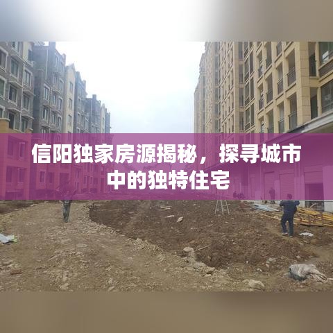 信陽獨家房源揭秘，探尋城市中的獨特住宅