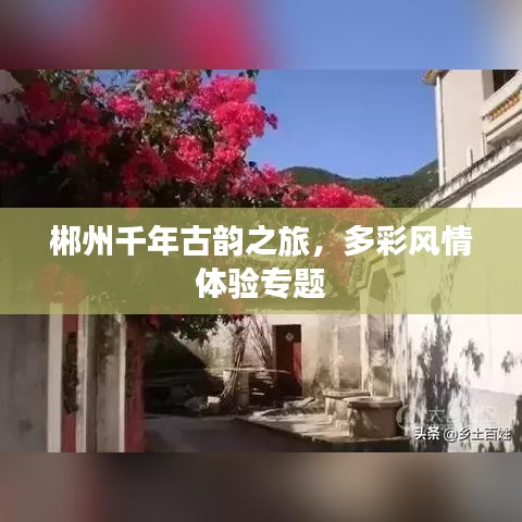 郴州千年古韻之旅，多彩風(fēng)情體驗(yàn)專題