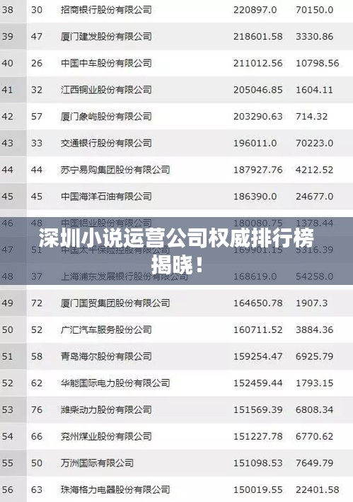 深圳小說運(yùn)營公司權(quán)威排行榜揭曉！