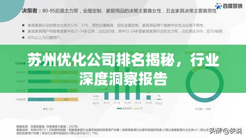 蘇州優(yōu)化公司排名揭秘，行業(yè)深度洞察報(bào)告