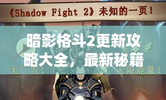 暗影格斗2更新攻略大全，最新秘籍揭秘！