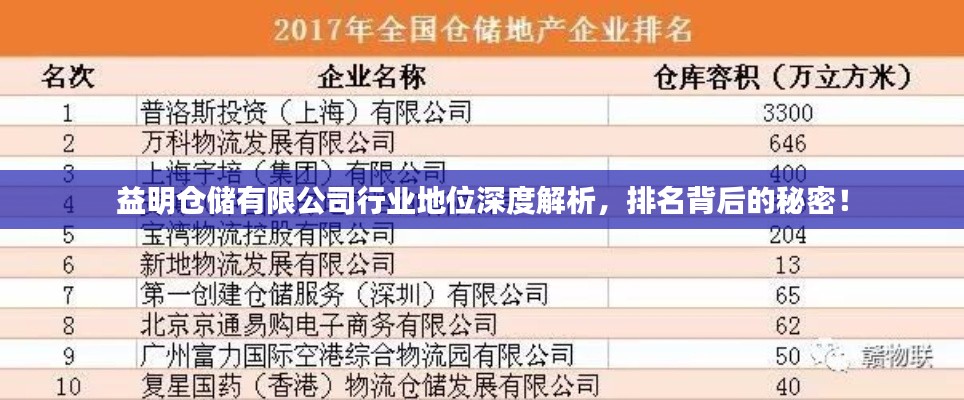 益明倉儲(chǔ)有限公司行業(yè)地位深度解析，排名背后的秘密！